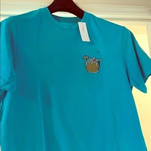 American Eagle Rare teal Shirt